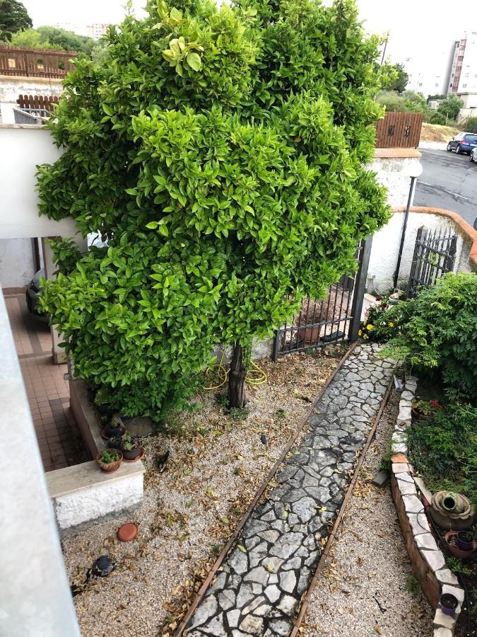 B&B San Liborio Civitavecchia Extérieur photo